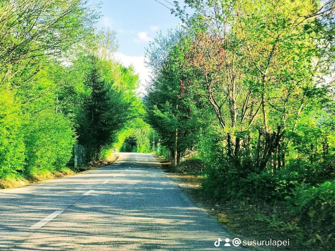 Susurul Apei Chalet برومباكو دو سوز المظهر الخارجي الصورة