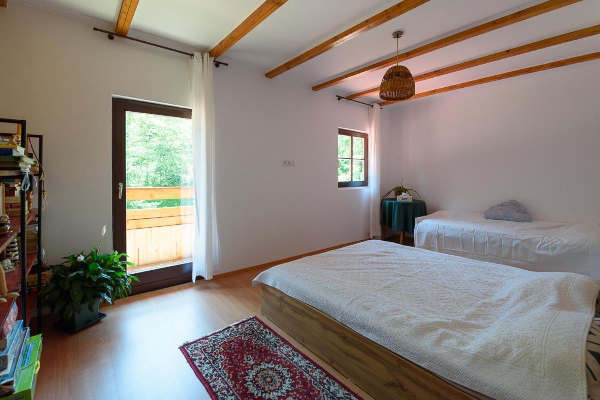 Susurul Apei Chalet برومباكو دو سوز المظهر الخارجي الصورة