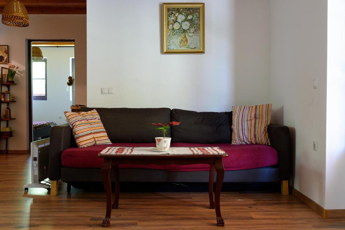 Susurul Apei Chalet برومباكو دو سوز المظهر الخارجي الصورة